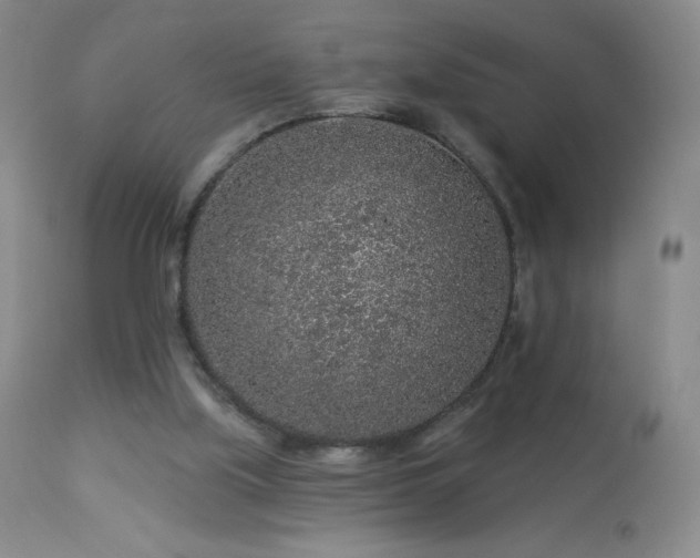 X0000114210059200910091333