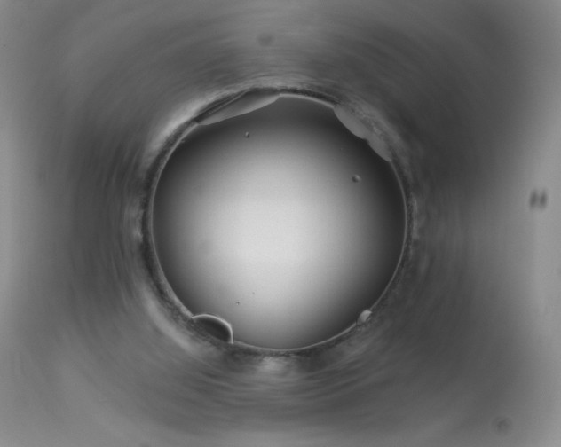 X0000114210060200910091333