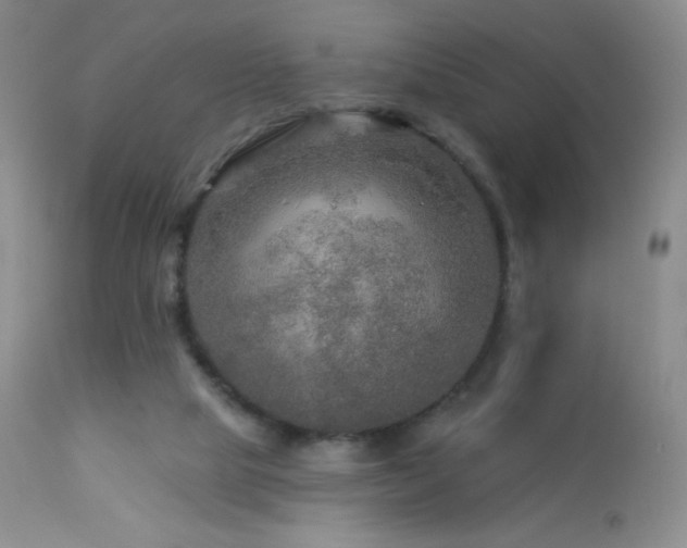 X0000114210065200910091333