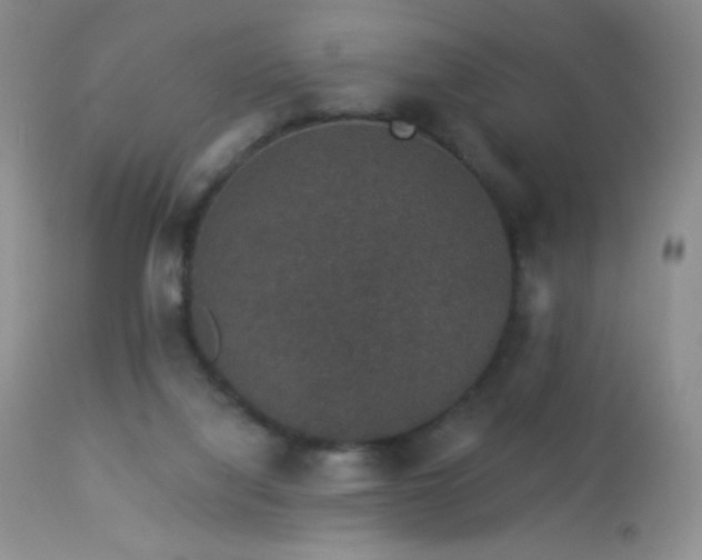 X0000114210068200910091333