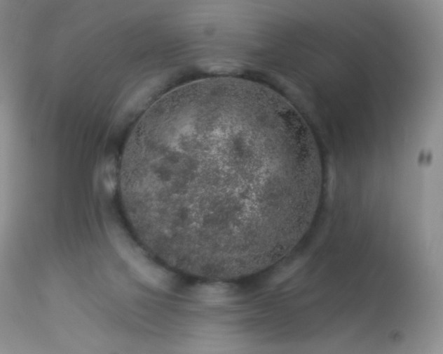 X0000114210069200910091333