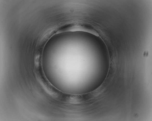X0000114210070200910091333