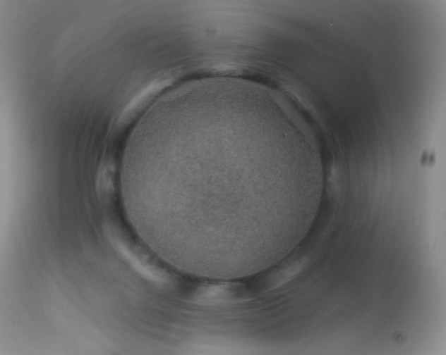 X0000114210072200910091334