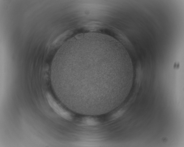 X0000114210073200910091334