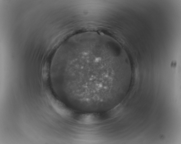 X0000114210074200910091334