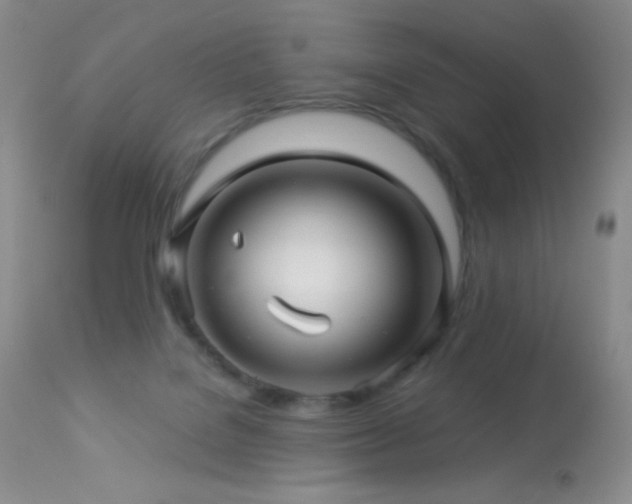 X0000114210076200910091334
