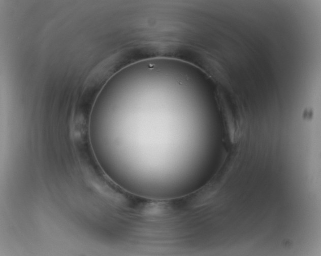 X0000114210077200910091334