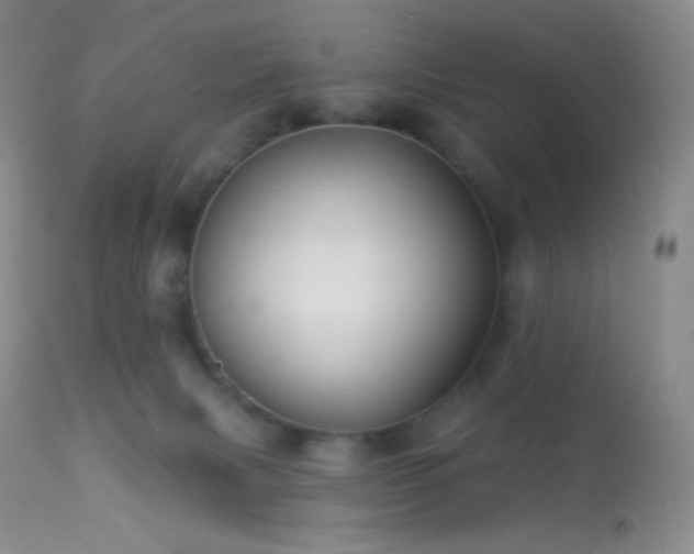 X0000114210079200910091334
