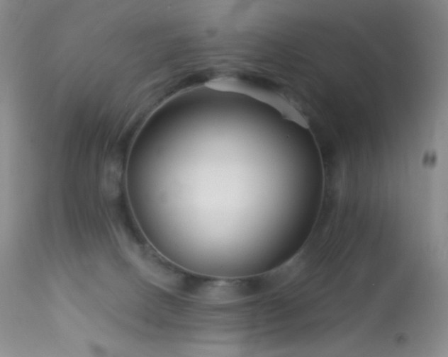 X0000114210082200910091334
