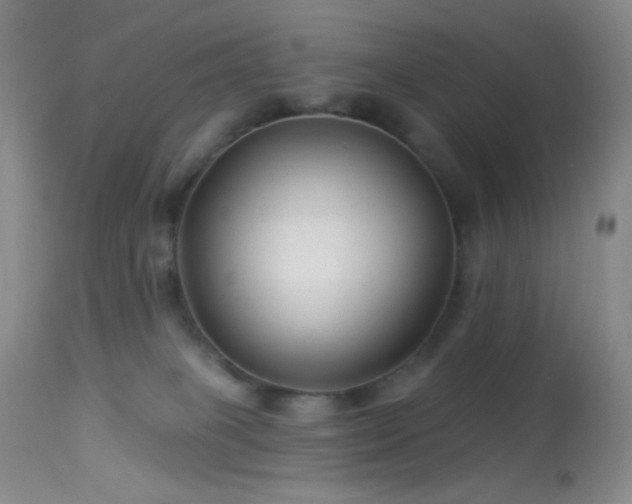 X0000114210085200910091334