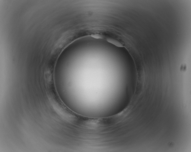 X0000114210086200910091334