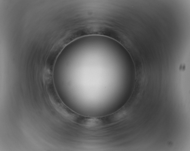 X0000114210087200910091334