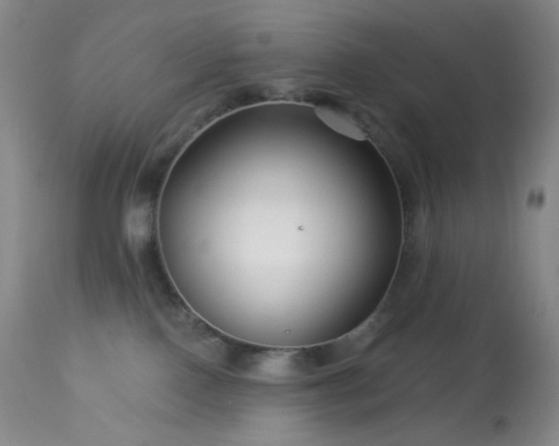 X0000114210090200910091334