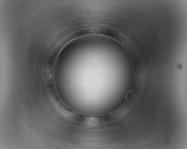 X0000114210091200910091334