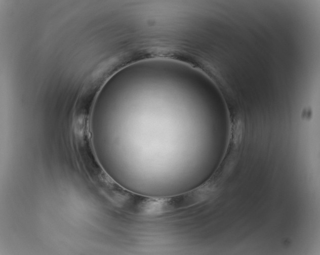 X0000114210093200910091334