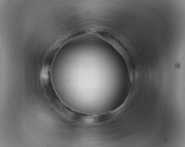 X0000114210094200910091334