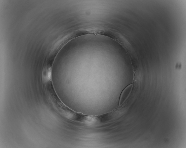 X0000114210095200910091334
