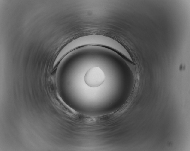 X0000114210096200910091334