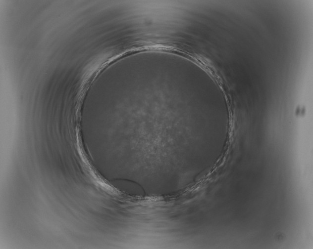 X0000114210097200910091333