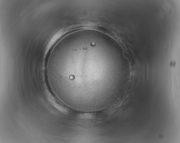 X0000114210102200910091333