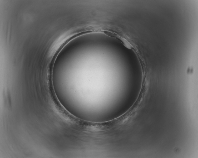 X0000114210103200910091333