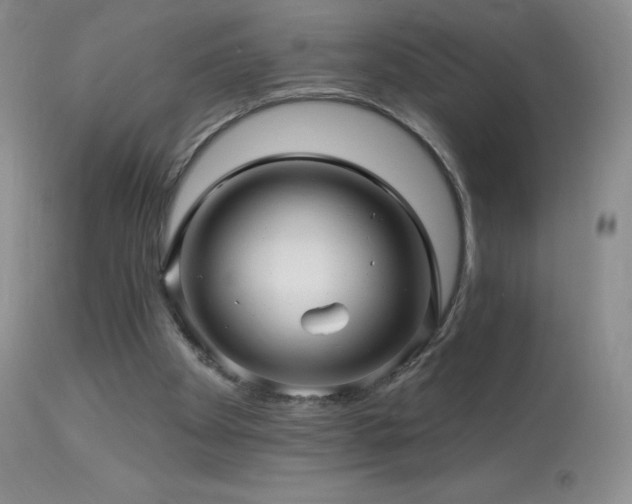 X0000114210105200910091333
