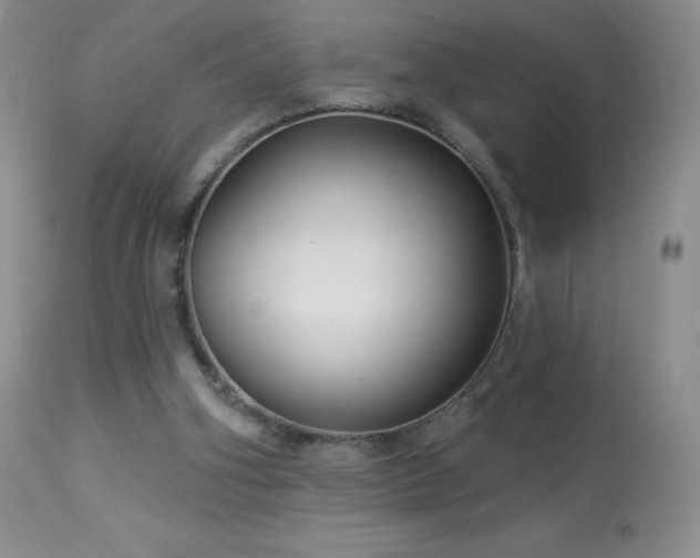 X0000114210106200910091333