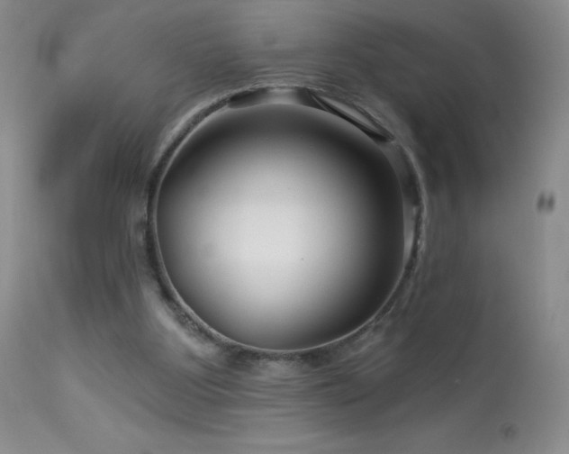 X0000114210107200910091333