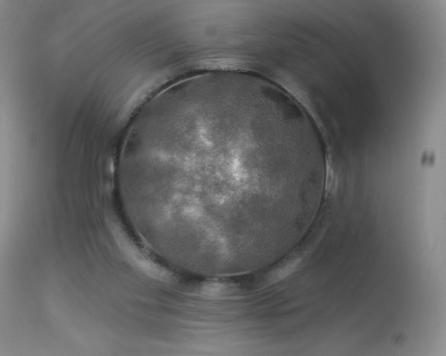 X0000114210109200910091333
