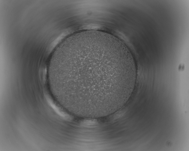 X0000114210110200910091333