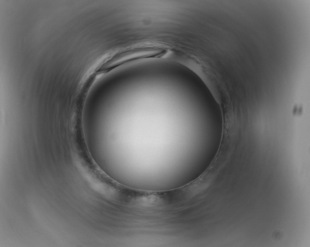 X0000114210112200910091333