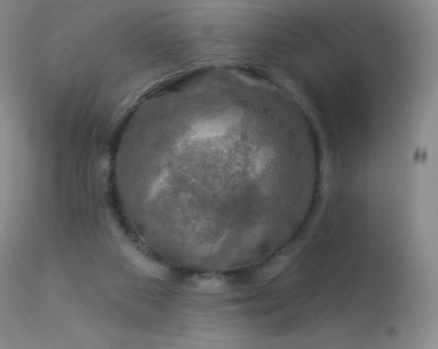 X0000114210113200910091333