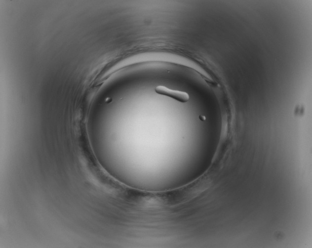 X0000114210115200910091333