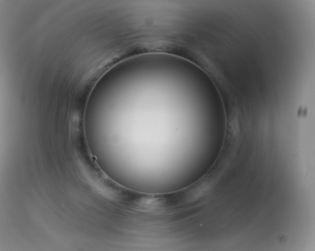 X0000114210117200910091333