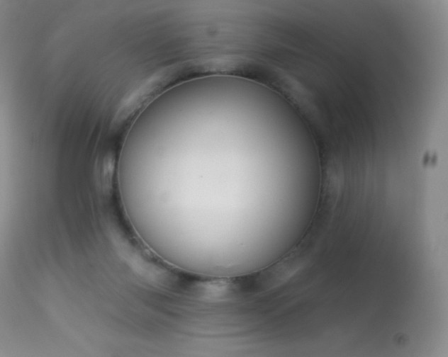 X0000114210118200910091333