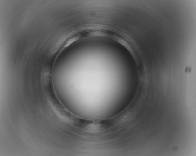 X0000114210119200910091333