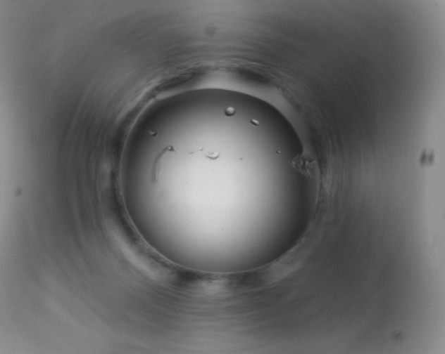 X0000114210120200910091333