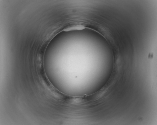 X0000114210121200910091333