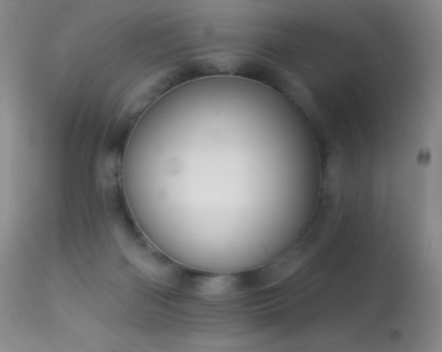 X0000114210122200910091333