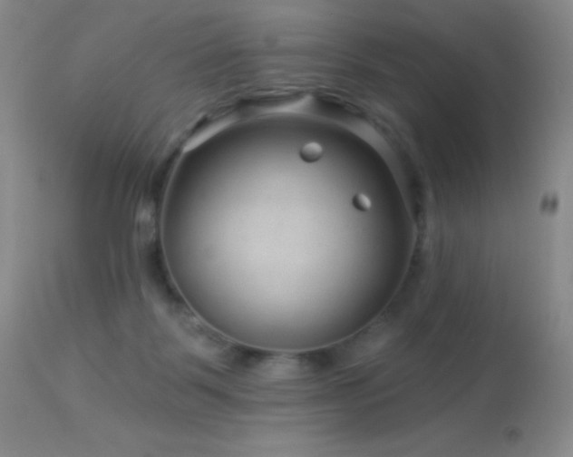 X0000114210123200910091333
