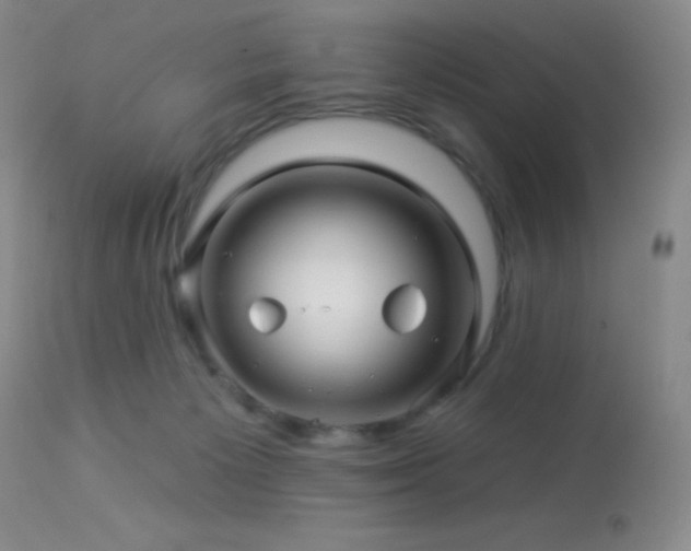 X0000114210125200910091333