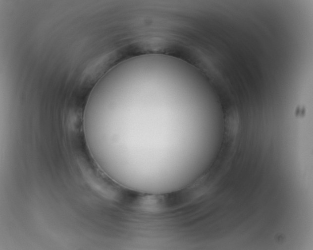 X0000114210126200910091333