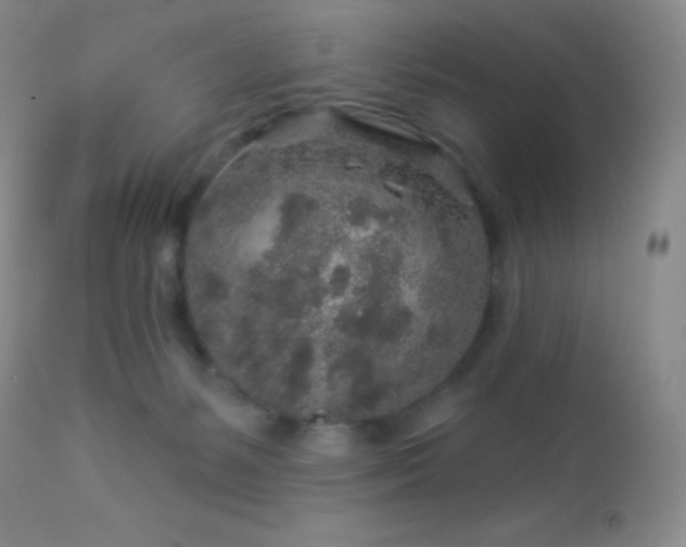 X0000114210127200910091333