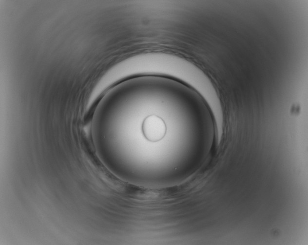 X0000114210129200910091332