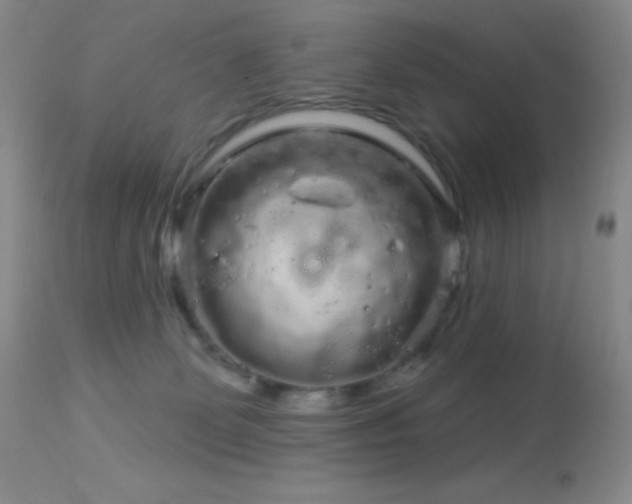 X0000114210131200910091332