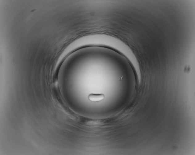 X0000114210133200910091332