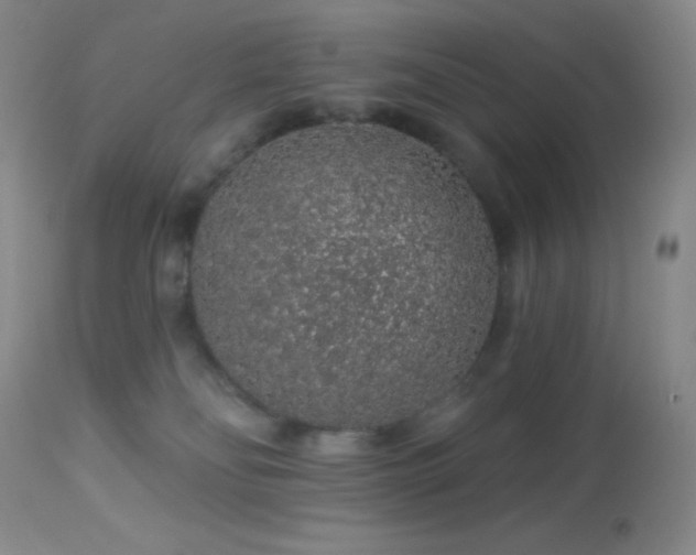 X0000114210134200910091332