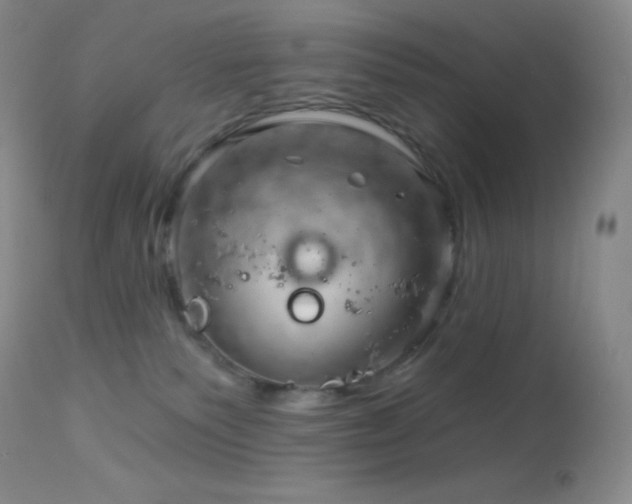 X0000114210135200910091332