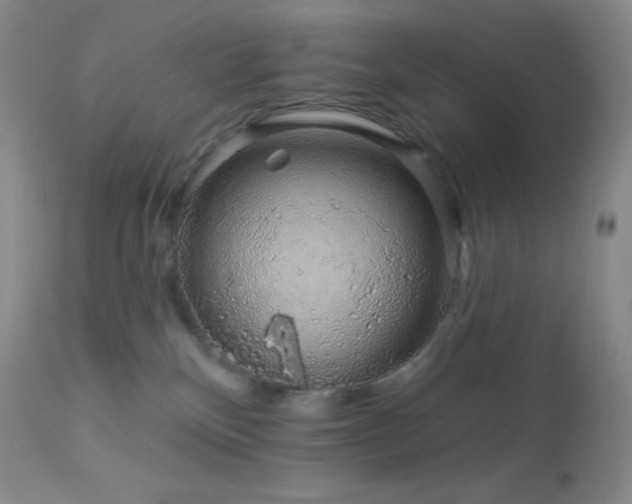 X0000114210136200910091332