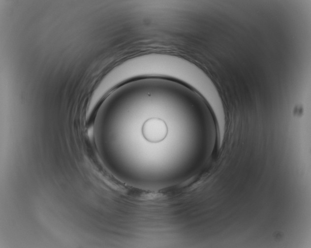 X0000114210137200910091332